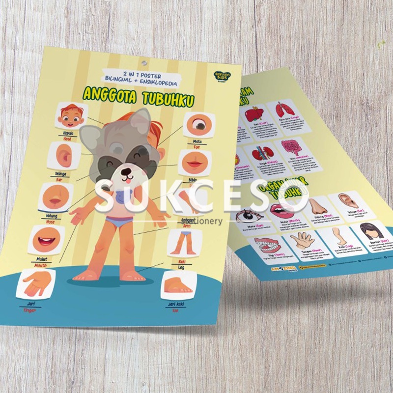 

AMAZING Poster Anggota Tubuhku / Poster Edukasi Anak