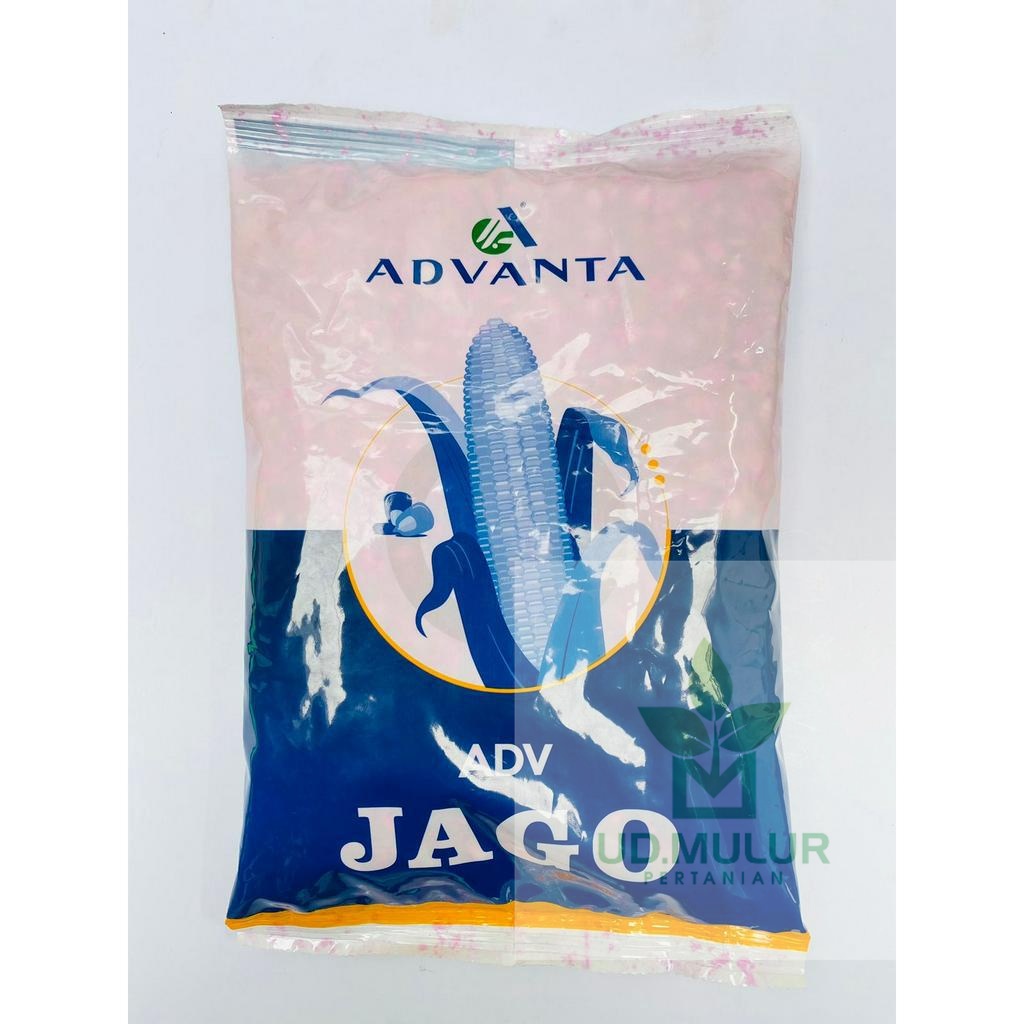 Benih Jagung hibrida ADV JAGO isi 1kg dari ADVANTA