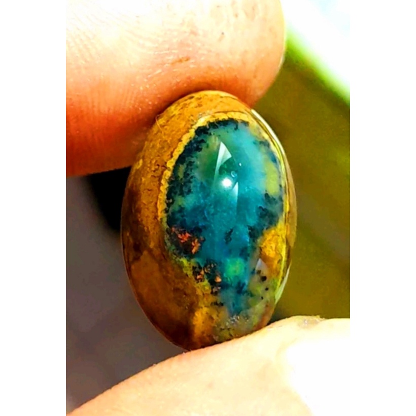 Bacan doko majiko bodyglass size kantoran jumbo