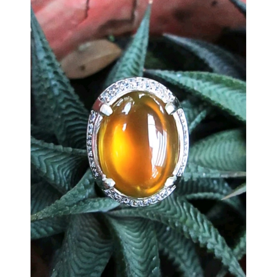 Yellow Obi bacan obi kuning nukleus size kantoran