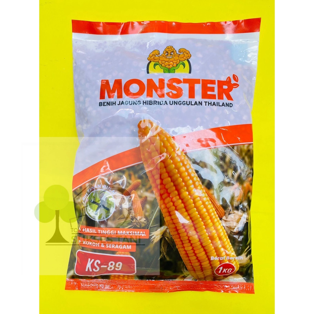 Benih jagung hibrida MONSTER KS-89 isi 1kg dari KS SEED Terbaik