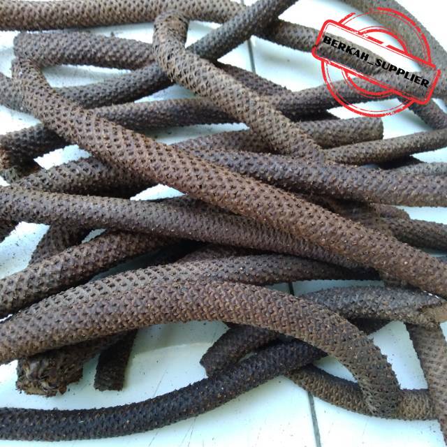 Kayu Lanang / Herbal Kayu Lanang Kering - Herbal Stamina Alami