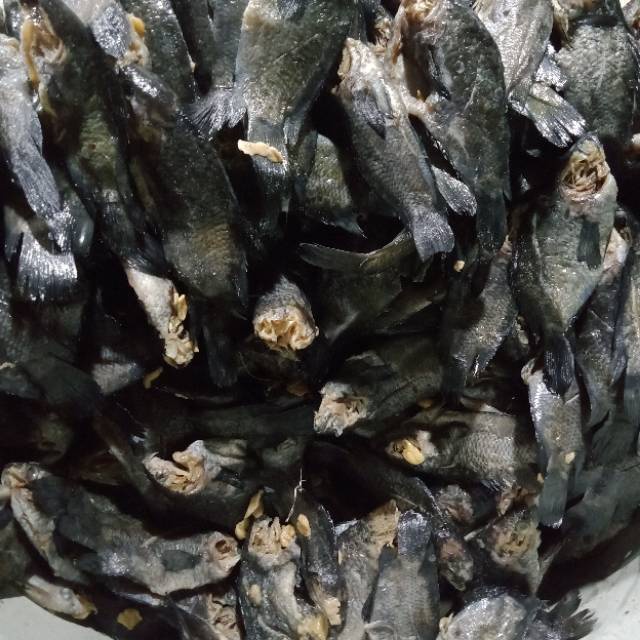 Wadi Ikan Betok Iwak Wadi Papuyu Khas Kalimantan 1000 Gram
