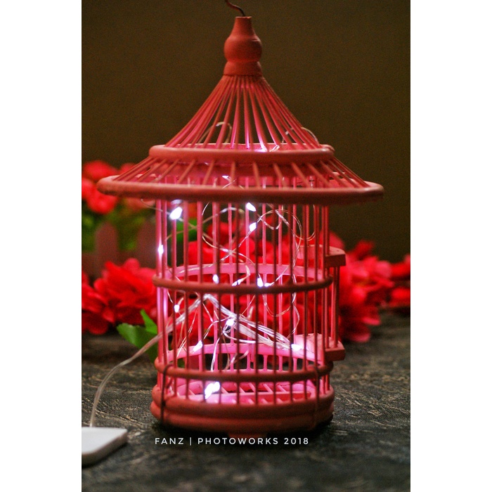 Wire Led 20 Leds untuk Properti Fotografi