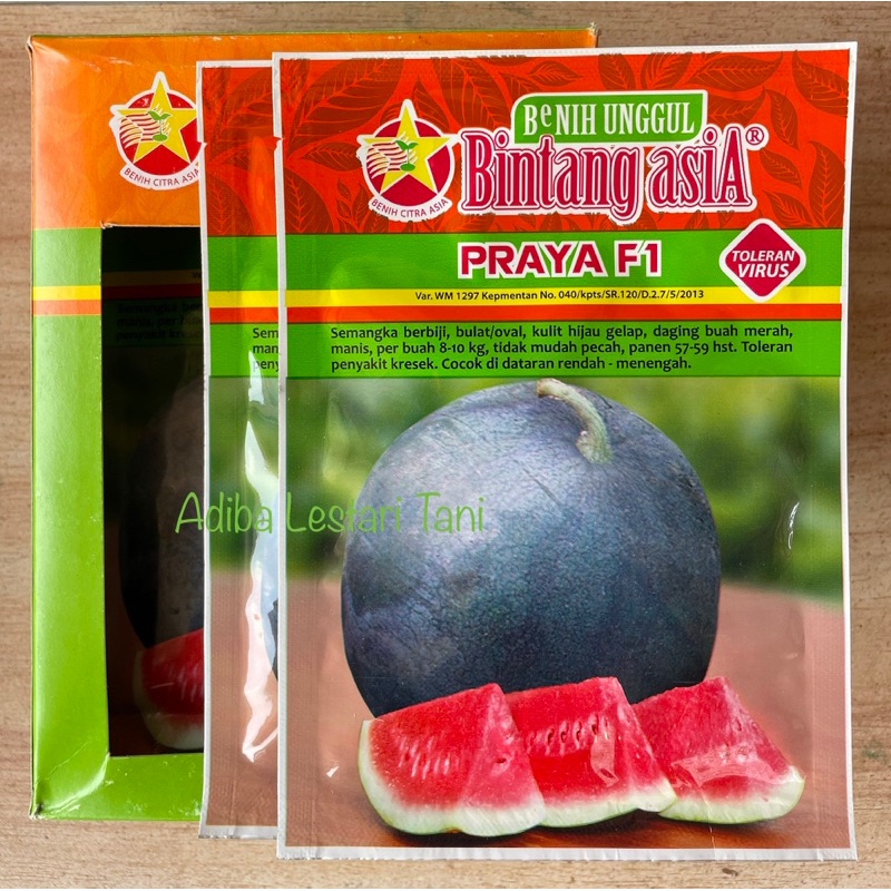Benih Semangka Praya F1 20 Gram - Bibit Semangka Berbiji Cap Bintang Asia