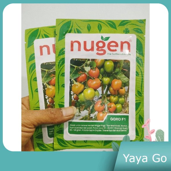 

Benih Tomat Goro F1 5gr Hibrida Umur Genjah Original Pabrik Nugen