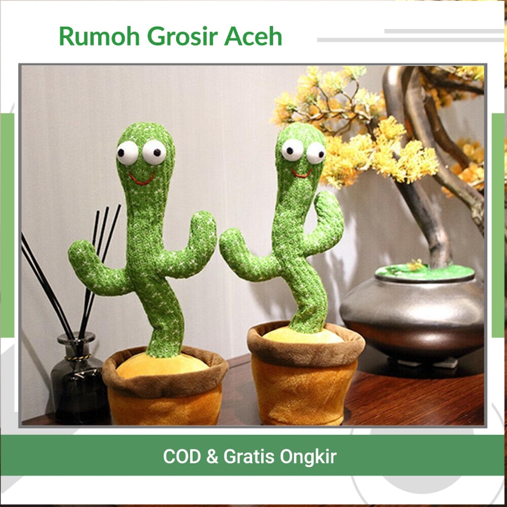 {ACEH} Boneka Kaktus Goyang | Peniru Suara | Cactus Dance