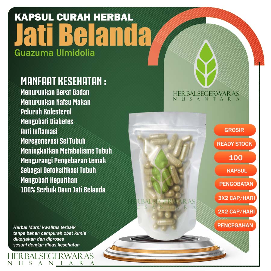 JATI BELANDA 100 Kapsul Curah Herbal Pelangsing Keputihan Detoks Diare