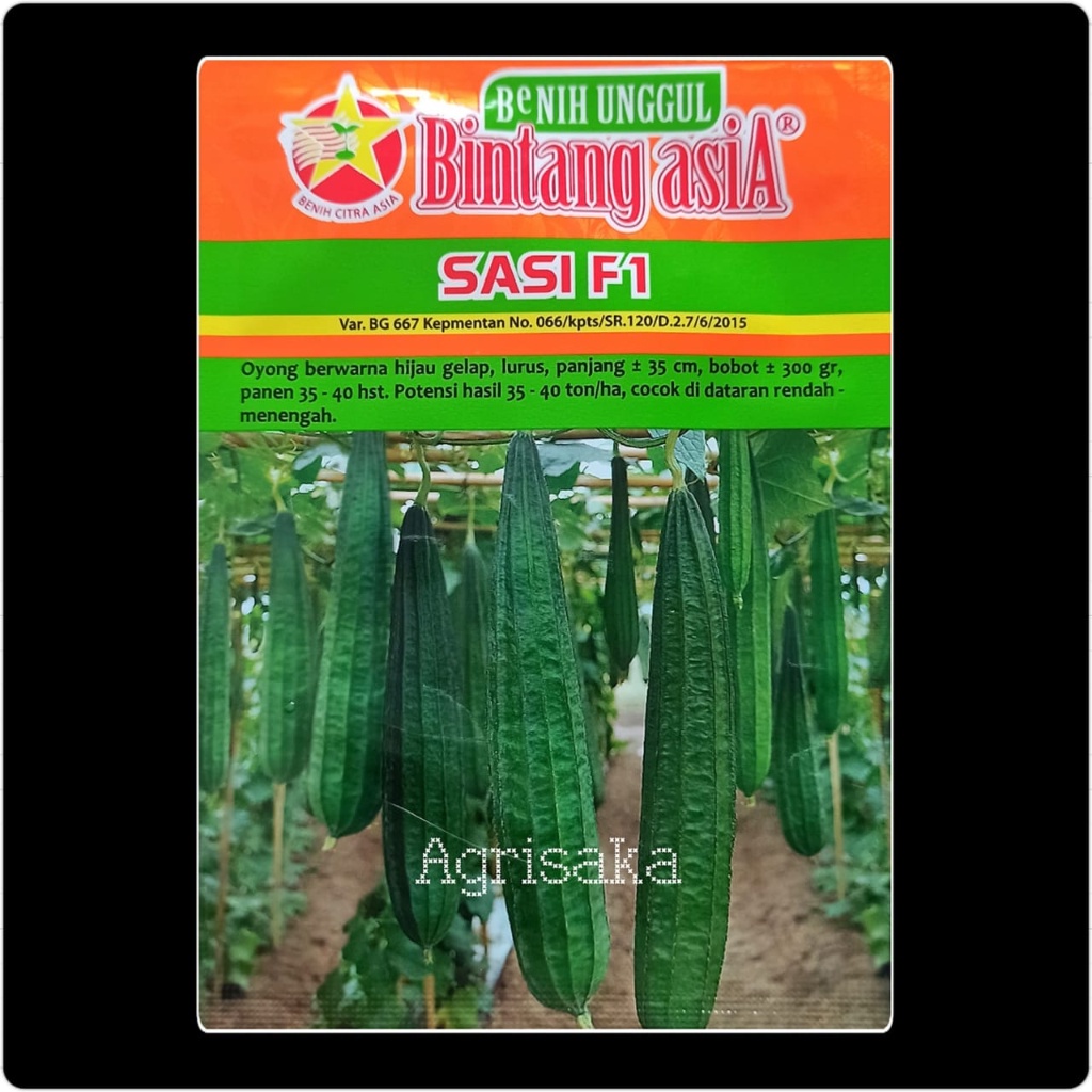 Benih Oyong Gambas SASI F1 10 Gram - Bintang Asia
