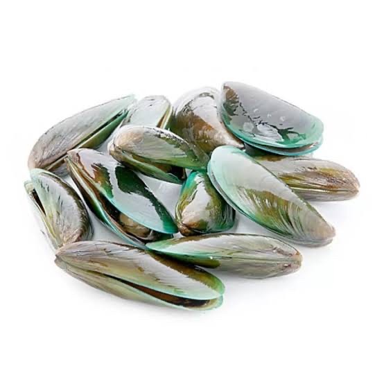 

kerang hijau segar 1 kg