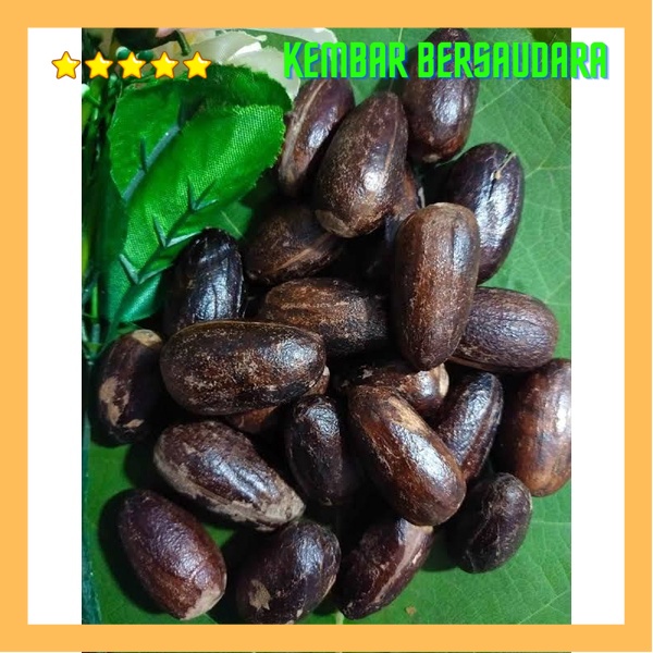 

pala bumbu masak per biji