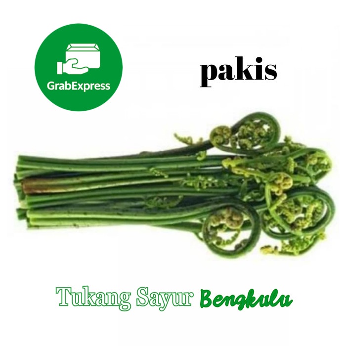 

Sayur pakis muda per ikat Grab instan Tukang Sayur Bengkulu