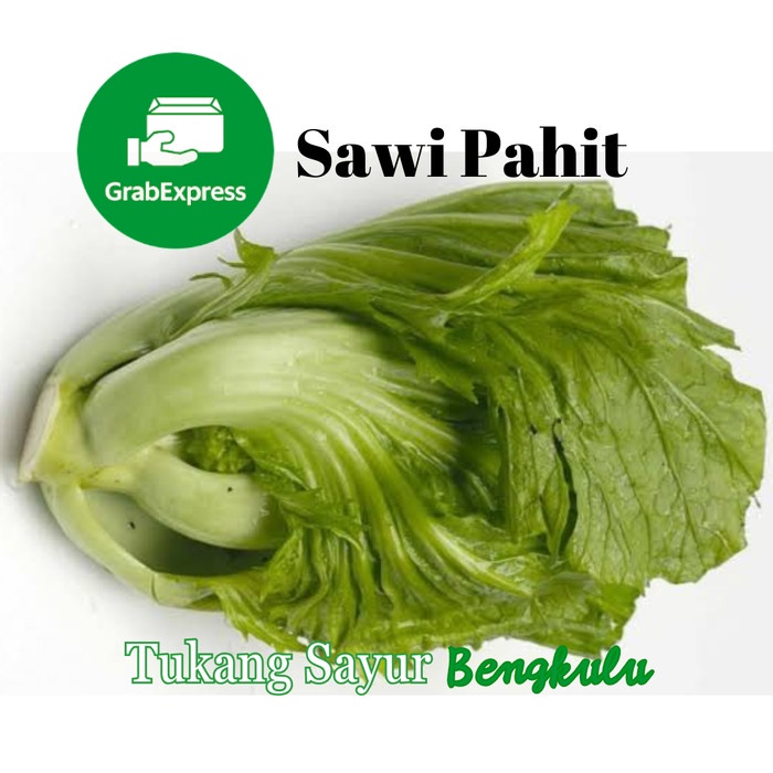 

Sawi Pahit 250gram Grab instan Tukang Sayur Bengkulu