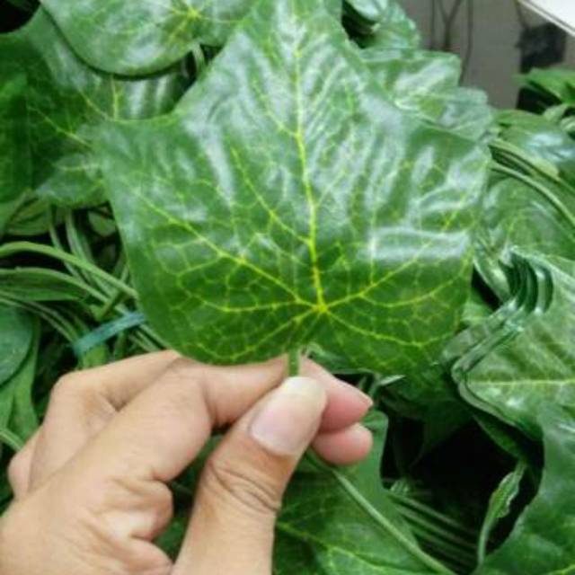 Daun Rambat ivy- Rambat Plastik - Rambat artificial- Hiasan dinding- Daun rambat besar