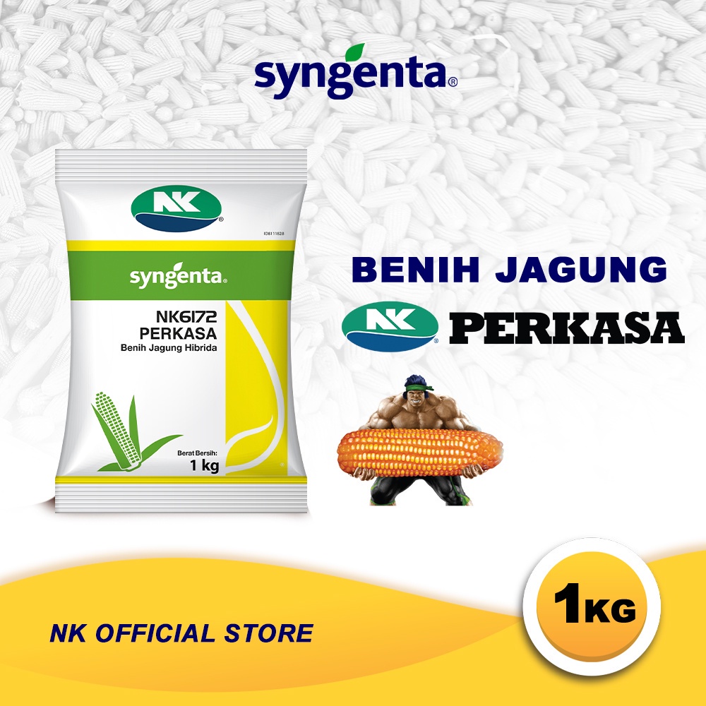 CD33F Benih Jagung NK 6172 | NK PERKASA - 1Kg