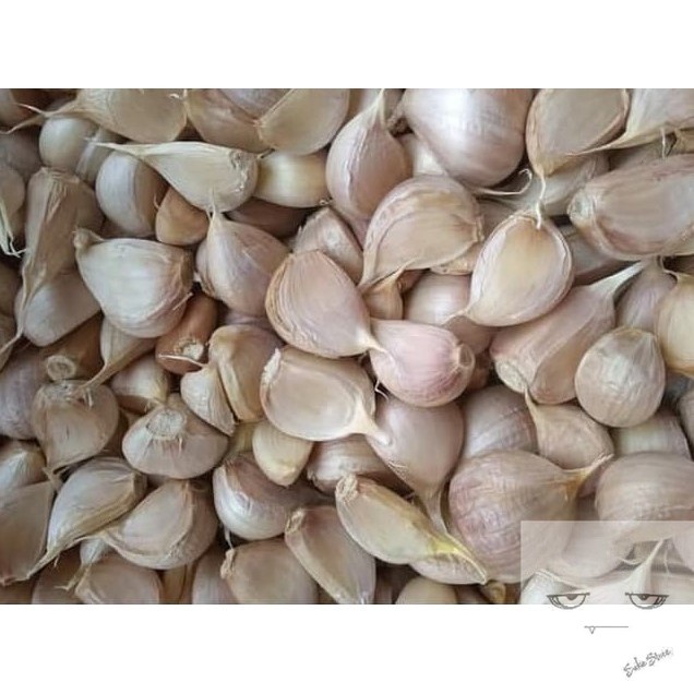 

Bawang Putih Kating Bersih 500 gr