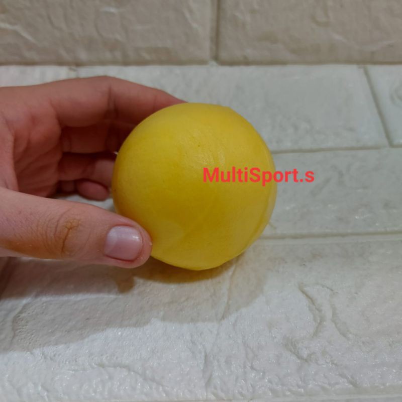 BOLA KASTI PENJAS BOLA KASTI BUSA