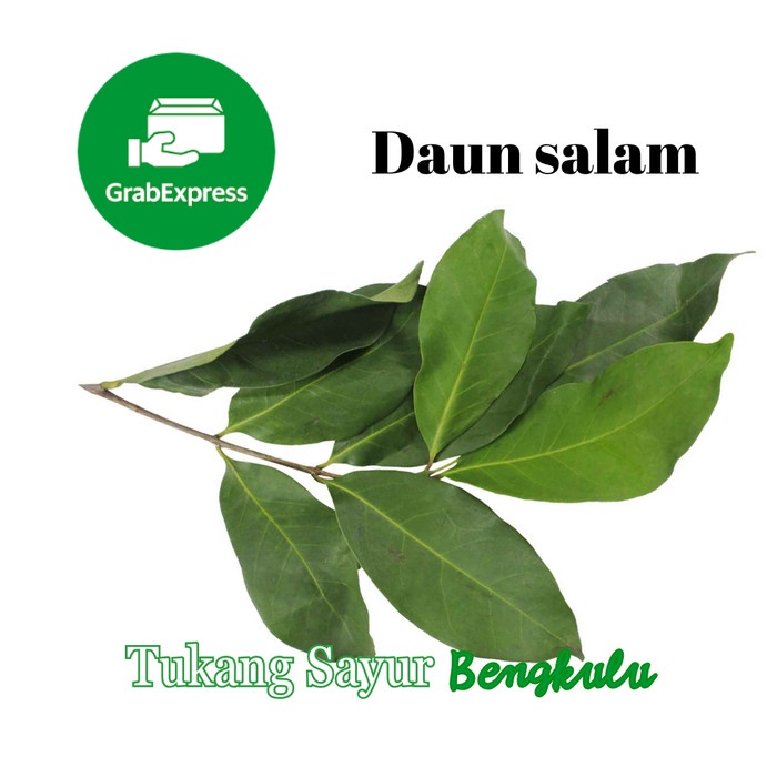 

Daun salam 1 ikat Grab instan Tukang Sayur Bengkulu