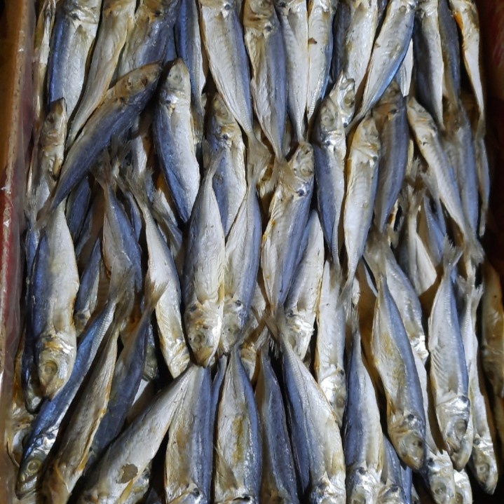 

Ikan asin peda layang 250 gram