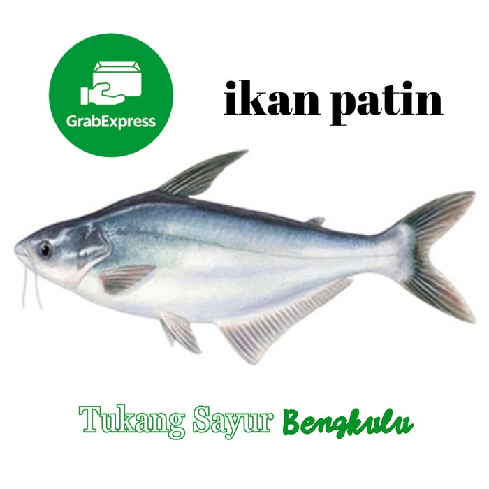 

ikan patin segar Grab instan Tukang Sayur Bengkulu