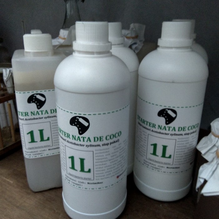 YX50 BIBIT BAKTERI ACETOBACTER XYLINUM (bahan starter nata de coco 1 liter)