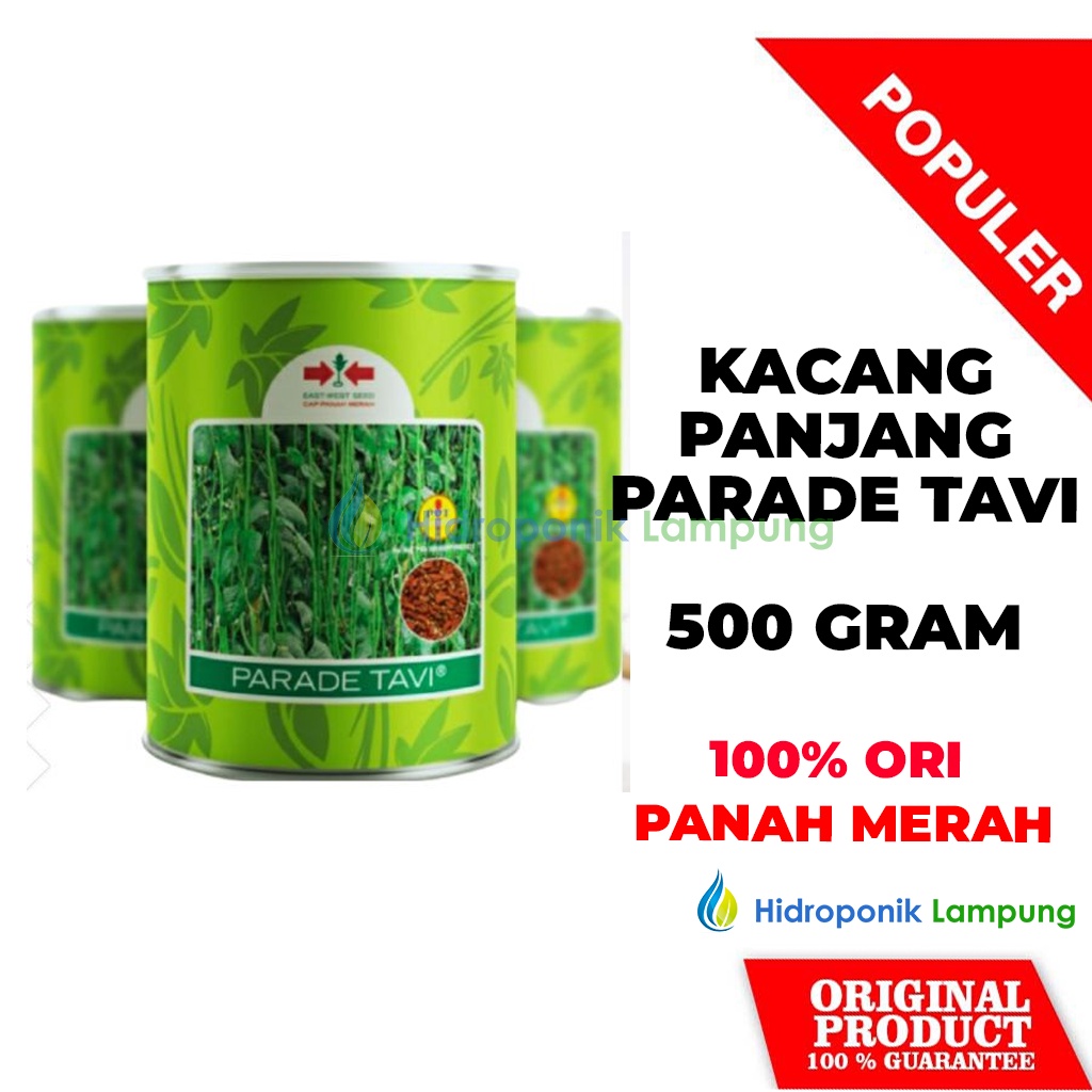 KALENG BENIH BIBIT KACANG PANJANG PARADE TAVI CAP PANAH MERAH ISI 500 GRAM