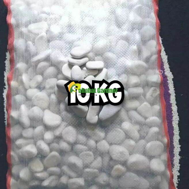 1 Karung Full Batu koral Putih Besar Berat 10 kg