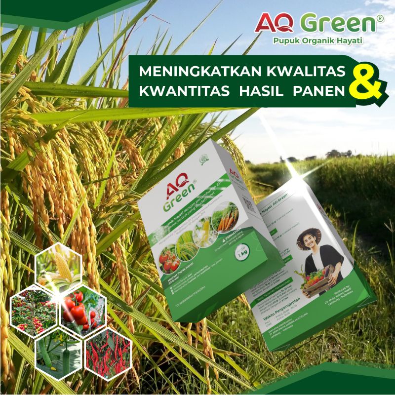 Pupuk Organik Bubuk Pupuk Hayati Multiguna AQ GREEN 1 kg Untuk 1000 liter Air Resmi Distribusi by Nusa Agro