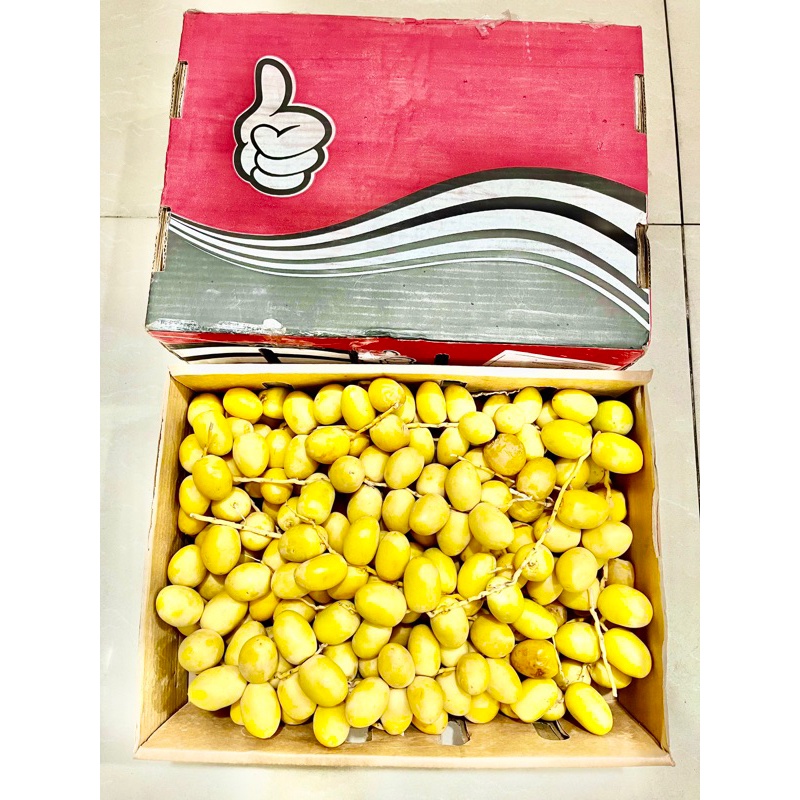 Kurma Muda Barhi Kurma Ruthob Promil Pasutri