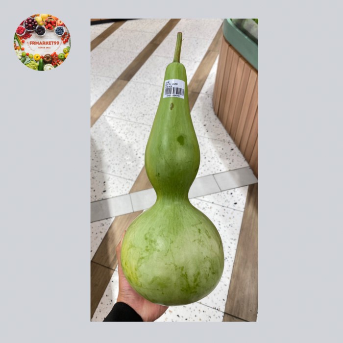 

Vege Bottel Gound Labu Botol Fresh | Buah Labu Botol | Pcs