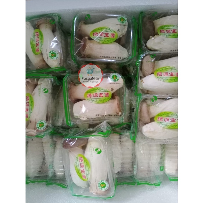 

Jamur King Oyster/King Oyster Mushroom KHUSUS GOSEND - FasyAnita Mart Denpasar