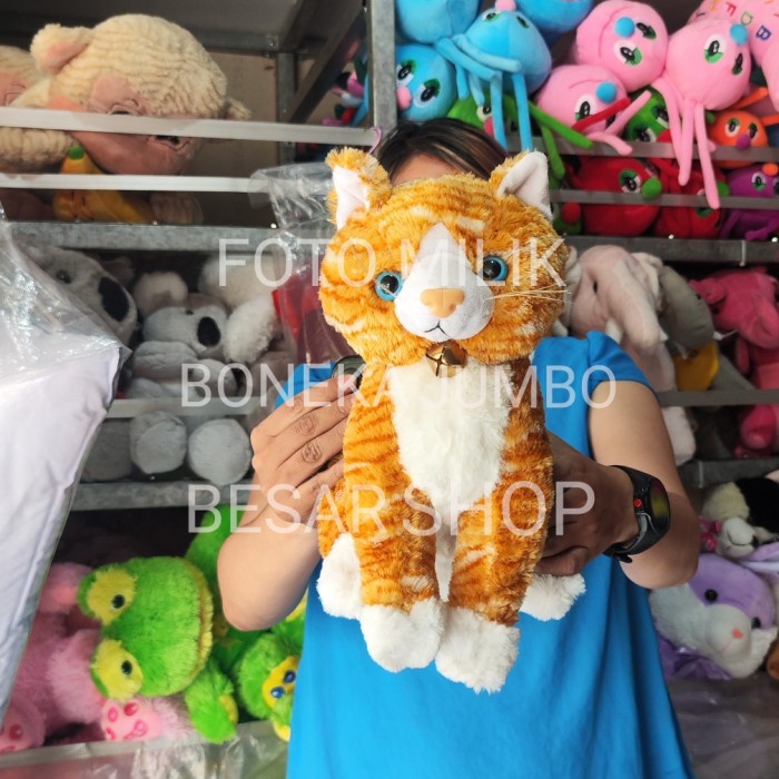 FOTO ASLI REAL PICT BONEKA HEWAN KUCING ANJING PERSIA ANGORA ANGGORA PUTIH COKLAT COKELAT