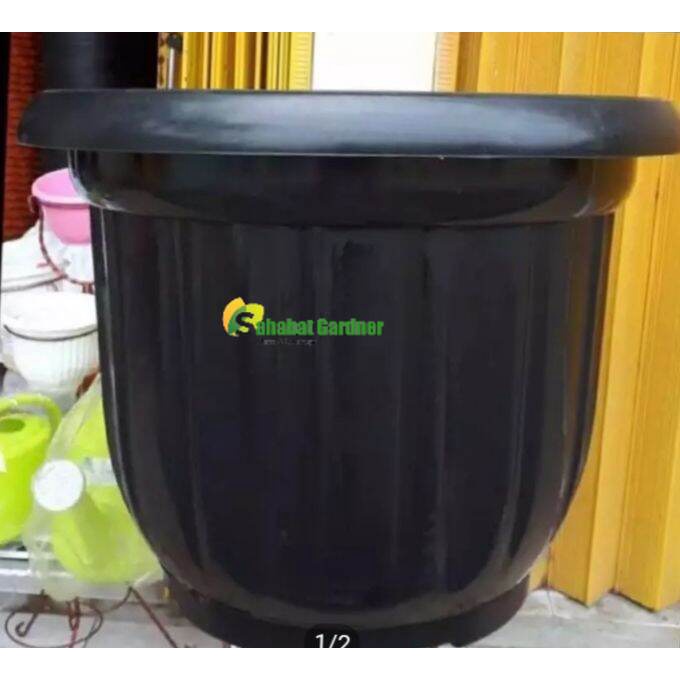 pot besar ukuran 50 cm/pot tanaman Gloria ukuran 50cm