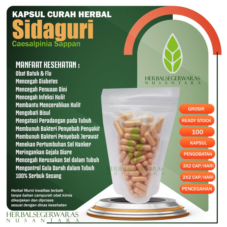 SIDAGURI 100 Kapsul Herbal Lemah Syahwat Eksim Asma Anti Radang Ginjal