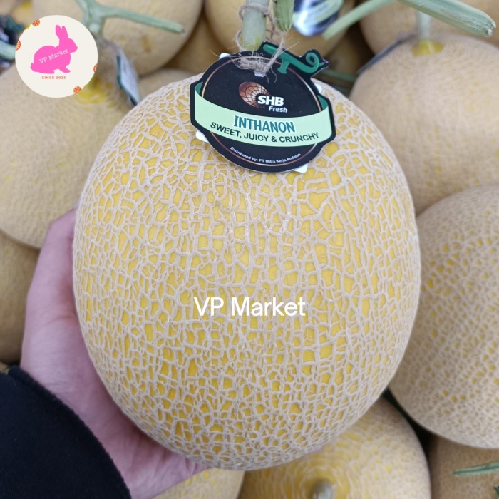 

Buah Melon Inthanon SHB Manis Juicy & Crunchy | pcs
