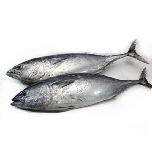 

ikan tongkol jabrik 500 gram