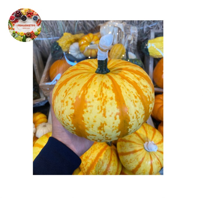 

Pumpkin Hallowen Stripes | Labu Hallowen | Pumpkin Hallowen 1 pcs