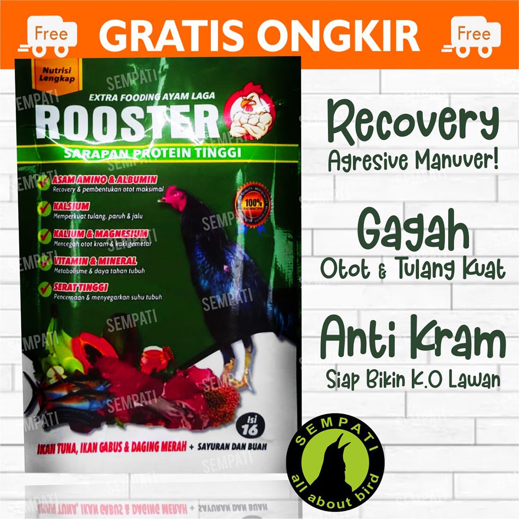 Rooster Extra Fooding Ayam Laga Aduan Petarung Jantan Bangkok Isi 16 Butir Suplemen Nutrisi Lengkap Sarapan Protein Tinggi Nafas Kuat Tenaga Plus Doping