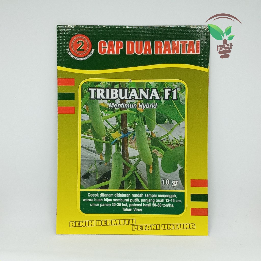 Benih Bibit Tribuana Bibit Sayuran Timun  Semi F1 Hibrida