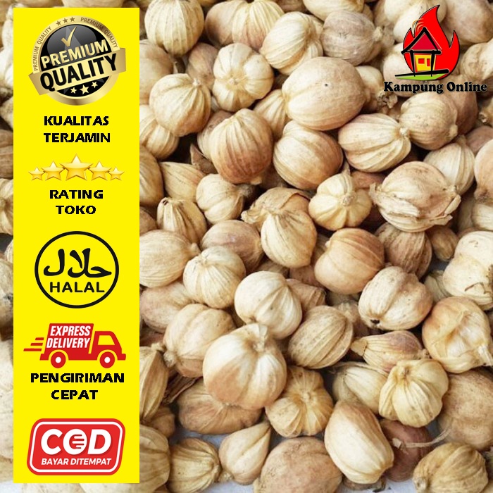 

Kapulaga Lokal Kapulaga Jawa kering 50 gr & 100 gr KAMPUNG ONLINE SUBANG