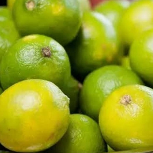 

buah jeruk nipis pasar online makassar