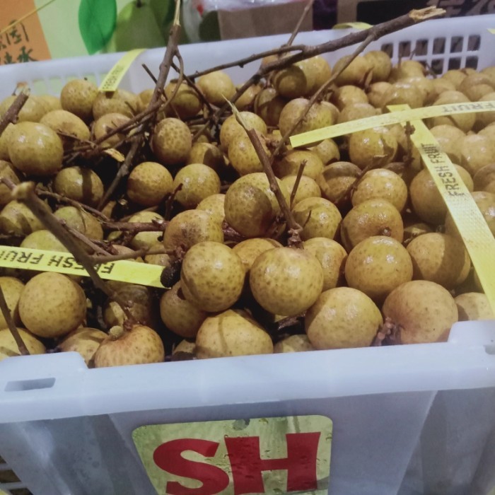 

[Best Seller] termurah & beraransi lengkeng/kelengkeng mas thailand bangkok per 1 kg - 1000 gram