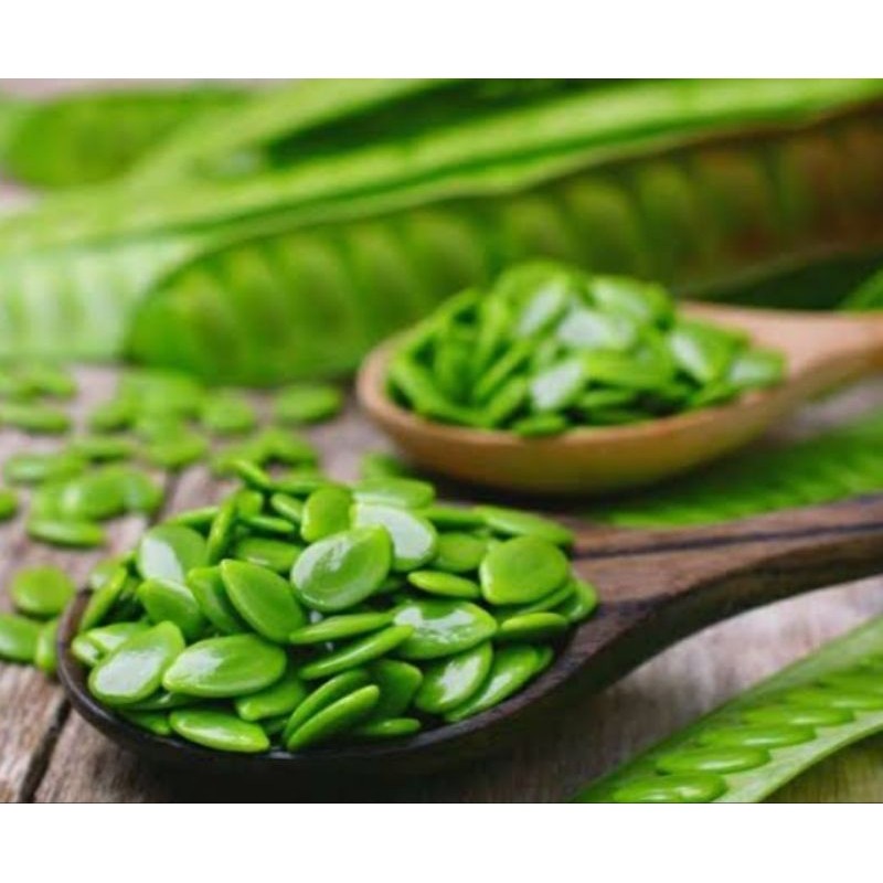 

MELANDINGAN/PETE CINA/LAMTORO 500 gram