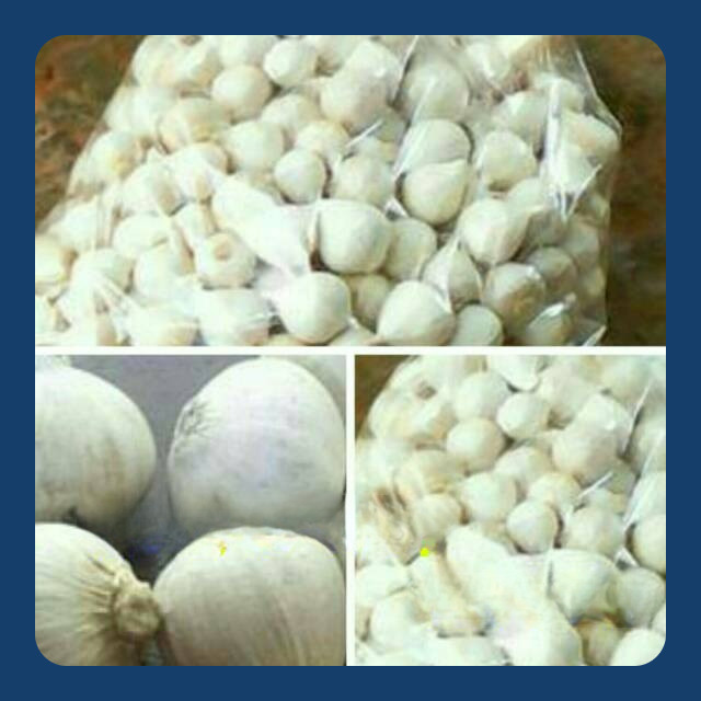 

Bawang Putih Tunggal / Bawang Lanang 500gram