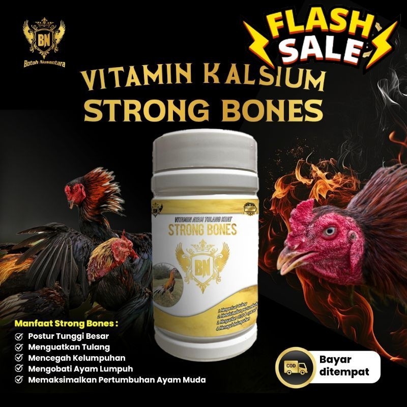 Hot STRONG BONES VItamin kalsium untuk tulang ayam kuat dan struktur tulangan ayam aduan kokoh