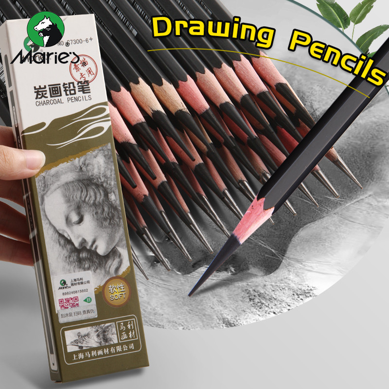 

12pcs Marie's Charcoal Pencils,Extra Soft/Soft/Medium Art Graphite Pencils Set for Drawing,Sketching,Shading,forArtists,Adults