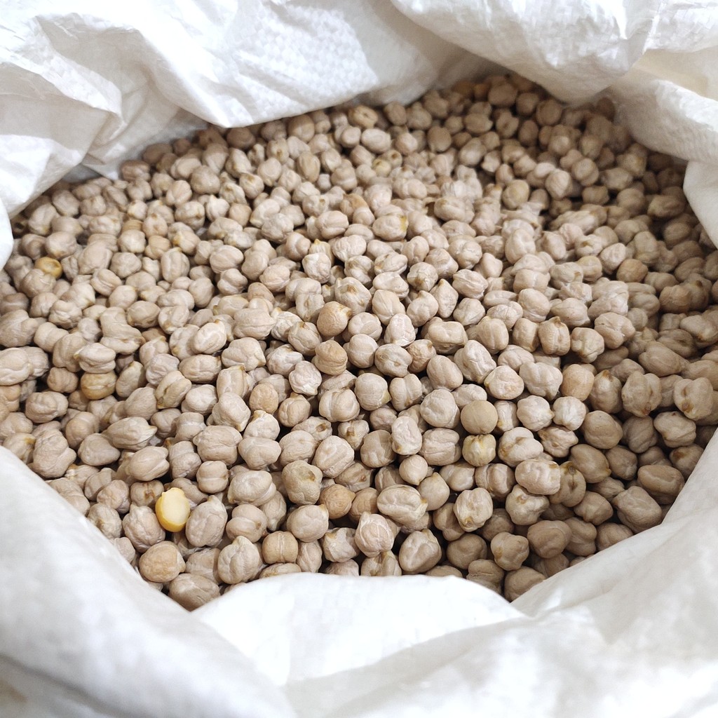 

KACANG HUMUS/CHECKPEAS 12M 25KG