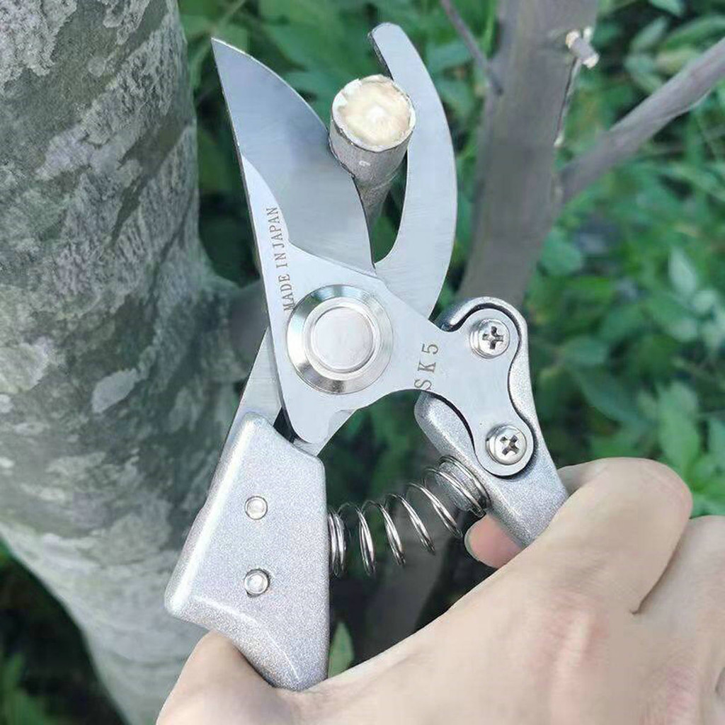 

gunting kapusi silver