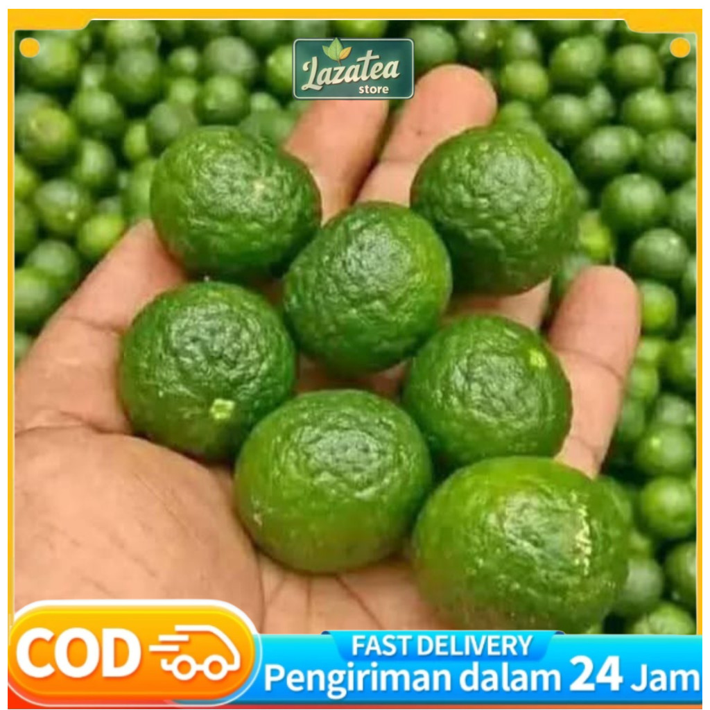 

Jeruk Limau Limo 1 Kg Fresh Sambal Masih Segar Termurah
