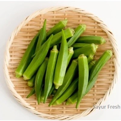 

Okra Hijau Berat – Sayur Okra Segar dan Bergizi